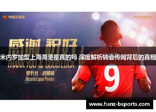 米内罗加盟上海海港是真的吗 深度解析转会传闻背后的真相
