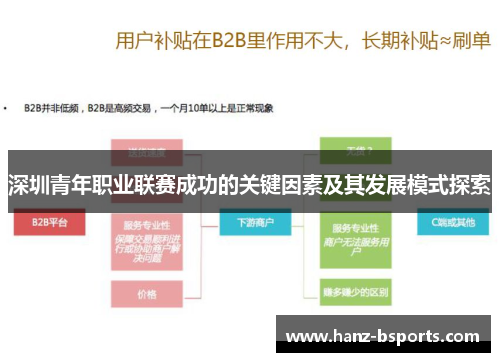 深圳青年职业联赛成功的关键因素及其发展模式探索 深圳青年职业联赛成功的关键因素及其发展模式探索